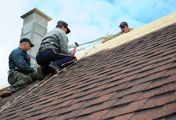 Best Roof Gutter Cleaning  in East End, AR